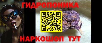 PSILOCYBIN Заводоуковск